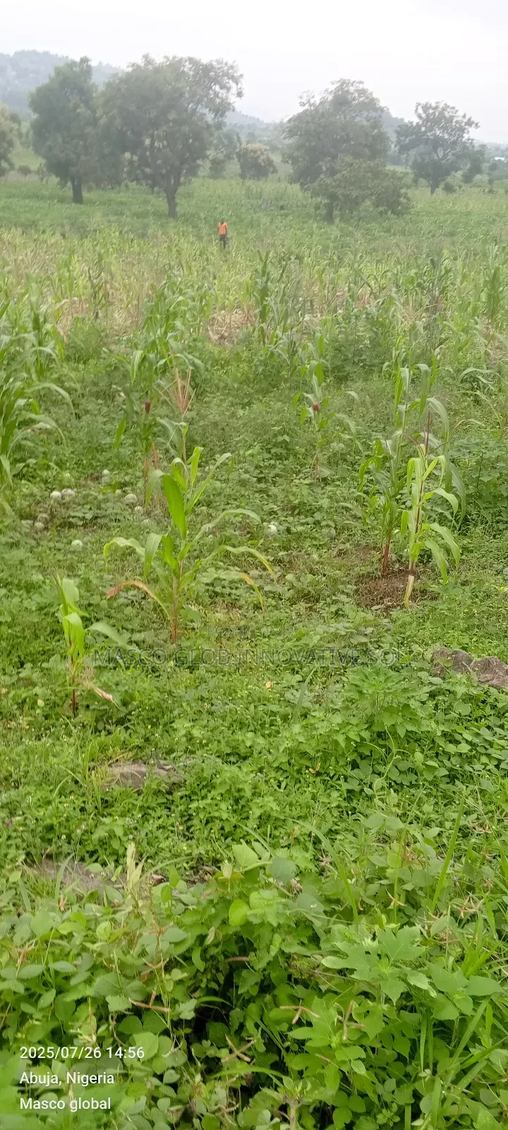 1 Hectare Farm Land For Sale In Kuje in Kuje
