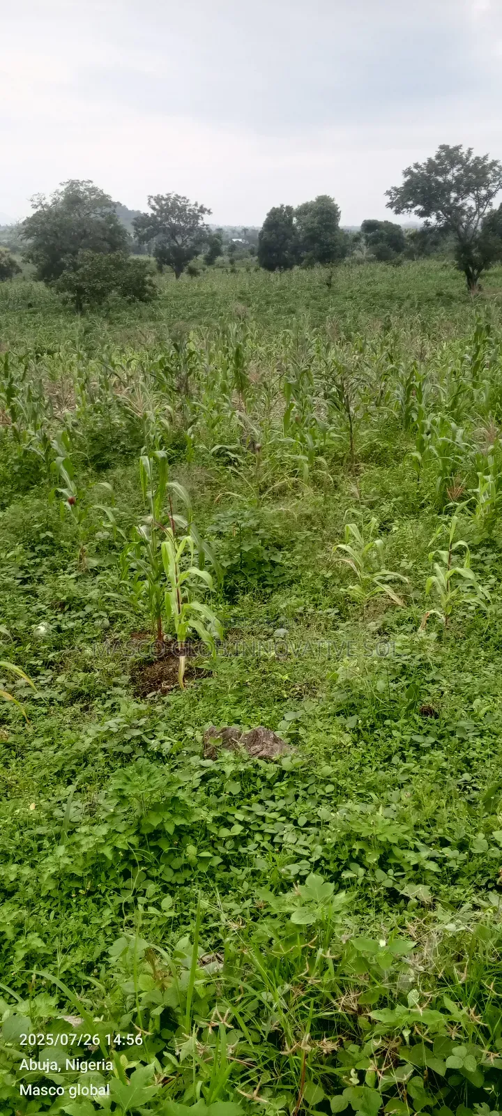 1 Hectare Farm Land For Sale In Kuje in Kuje