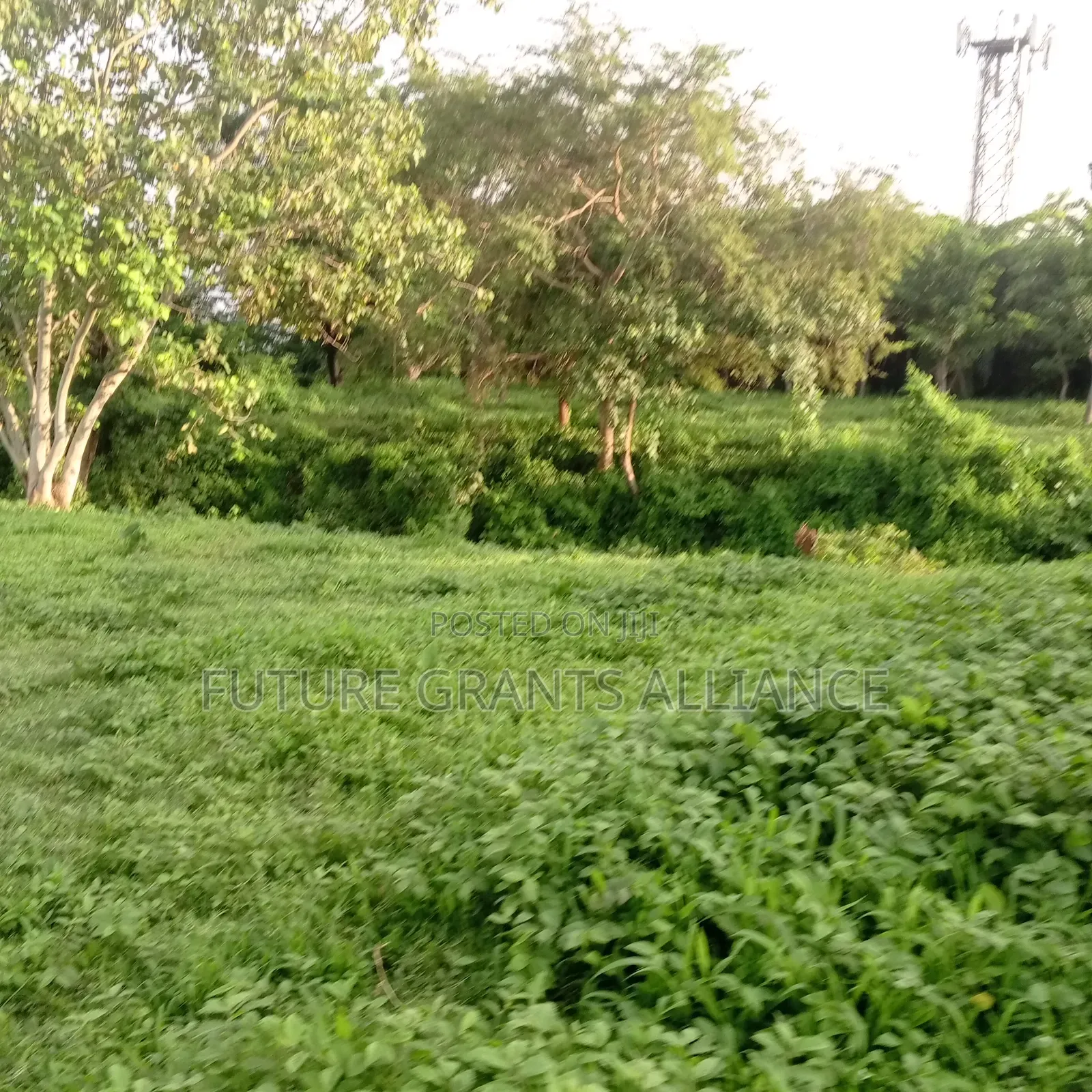 Parcel Of Land For Sale At Abeokuta in Abeokuta North