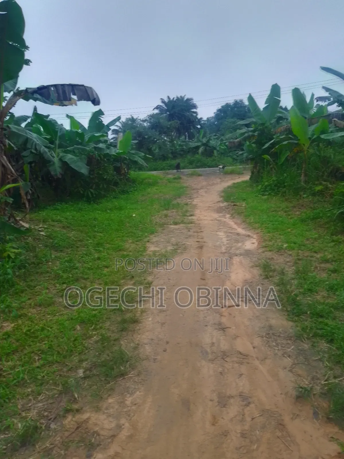 Distress Buy and Pack in Genuine 4 Plots for Sale in Port-Harcourt