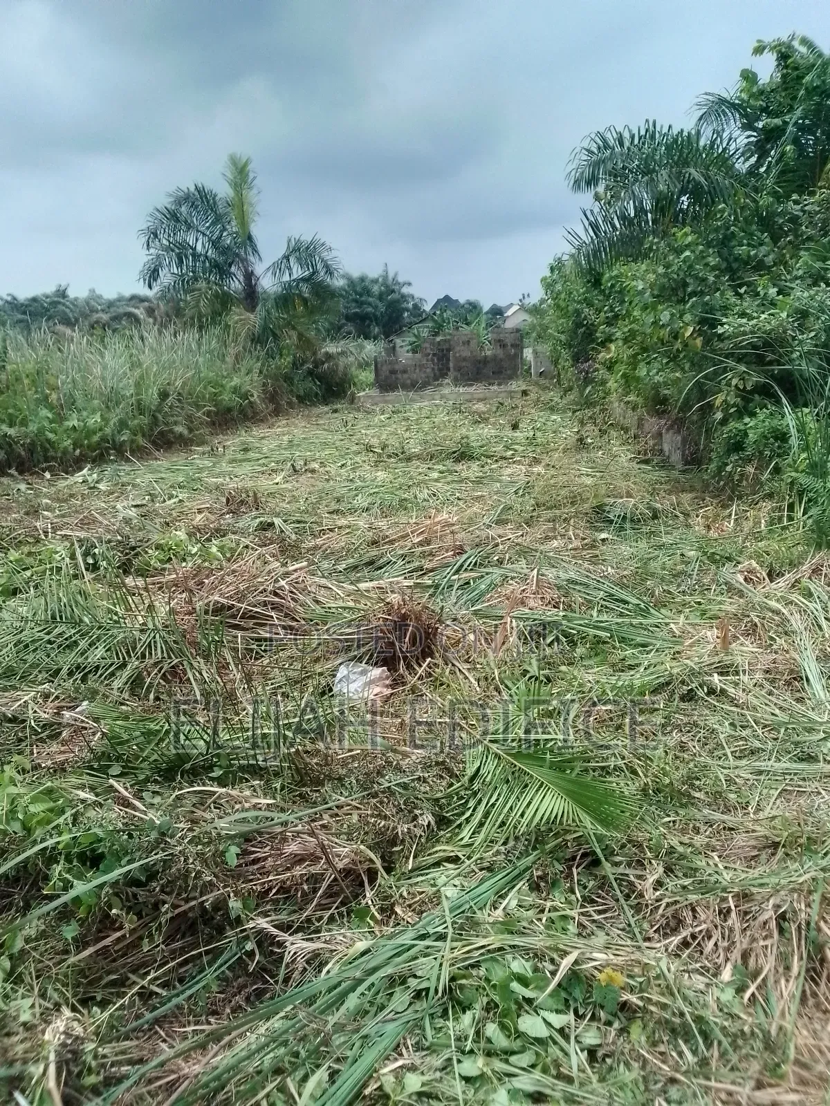 Cheap Half Plot of Land for Sale at Parkview Bagidan,Ikorodu in Ijede / Ikorodu
