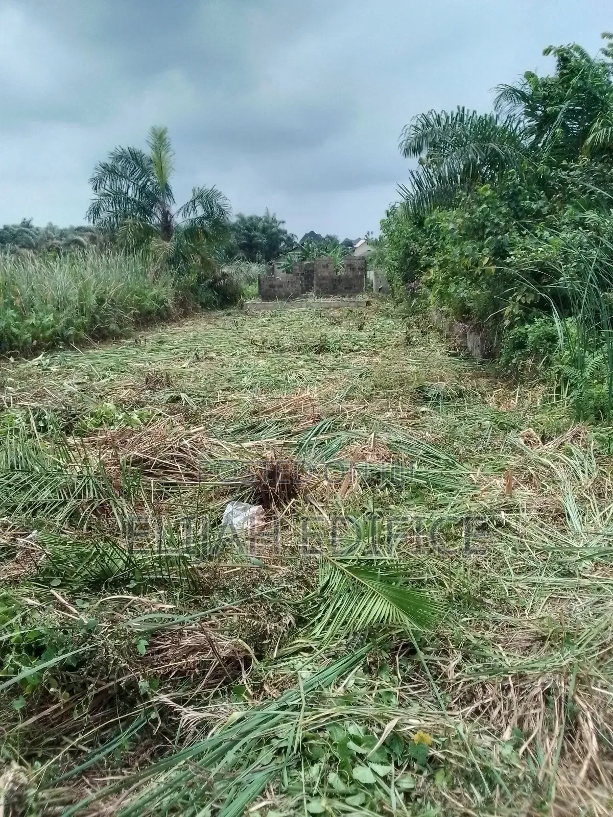 Cheap Half Plot of Land for Sale at Parkview Bagidan,Ikorodu in Ijede / Ikorodu