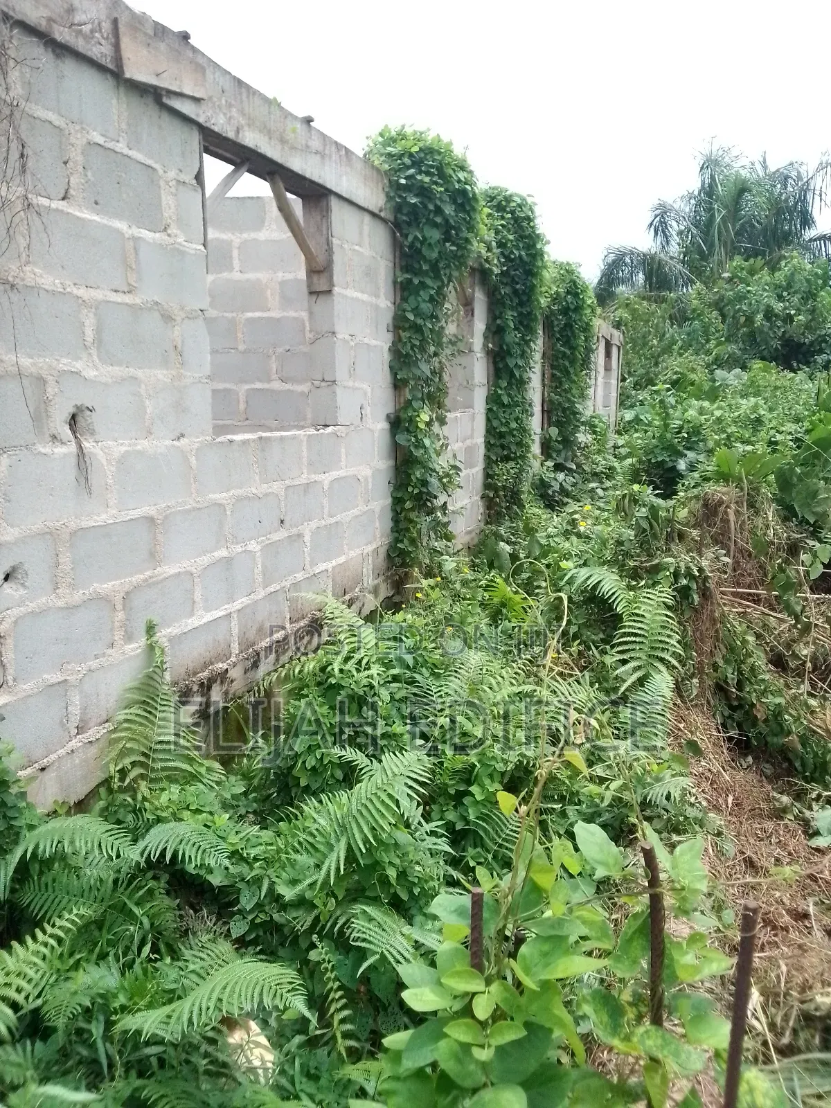 Cheap Half Plot of Land for Sale at Parkview Bagidan,Ikorodu in Ijede / Ikorodu