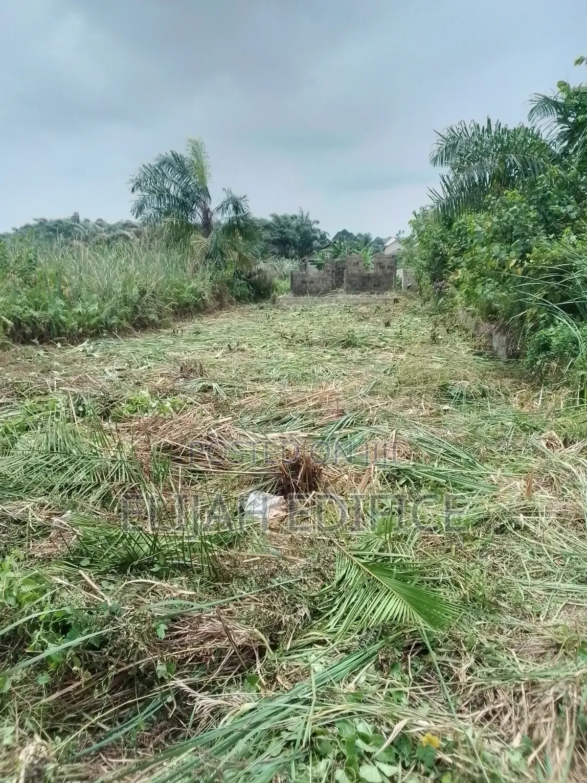 Cheap Half Plot of Land for Sale at Parkview Bagidan,Ikorodu in Ijede / Ikorodu