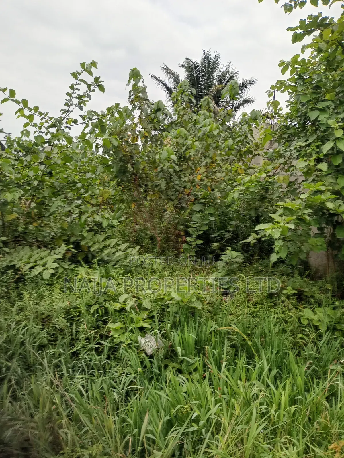 Full Plot of Land at Alatishe, Ibeju-Lekki for Sale in Ibeju