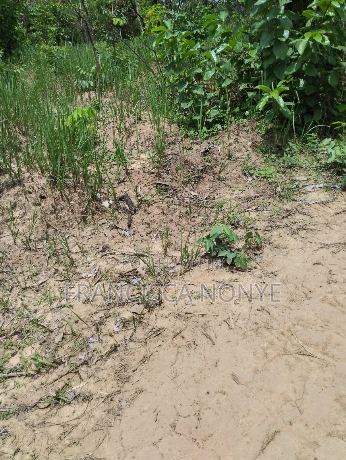 Genuine Plots Of Land For Sale in Oyi