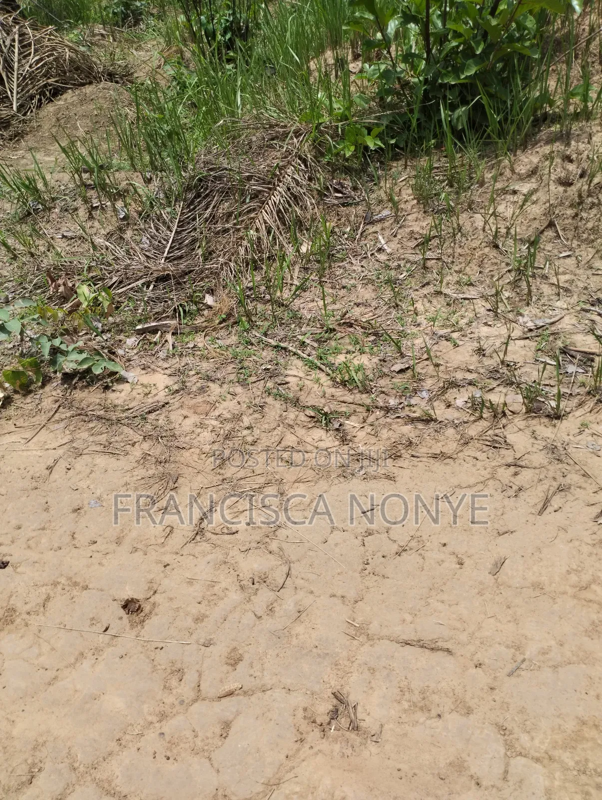 Genuine Plots Of Land For Sale in Oyi