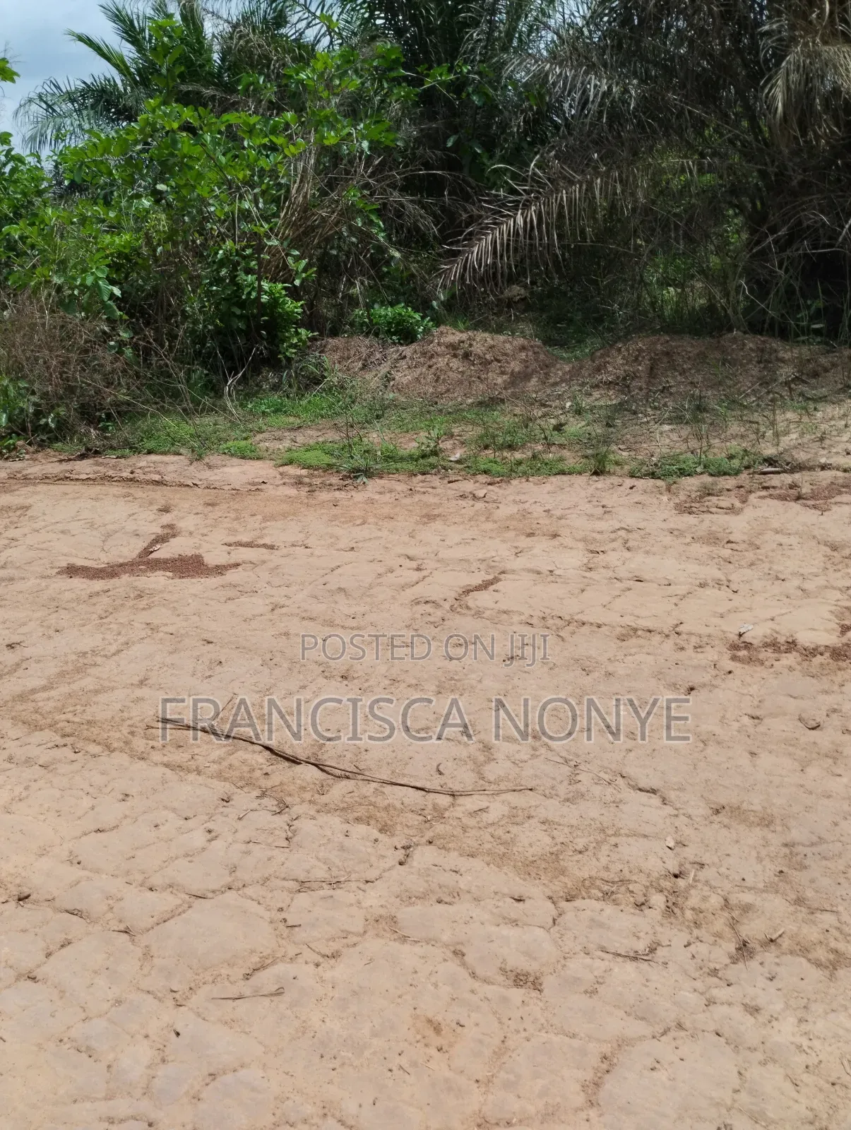 Genuine Plots Of Land For Sale in Oyi