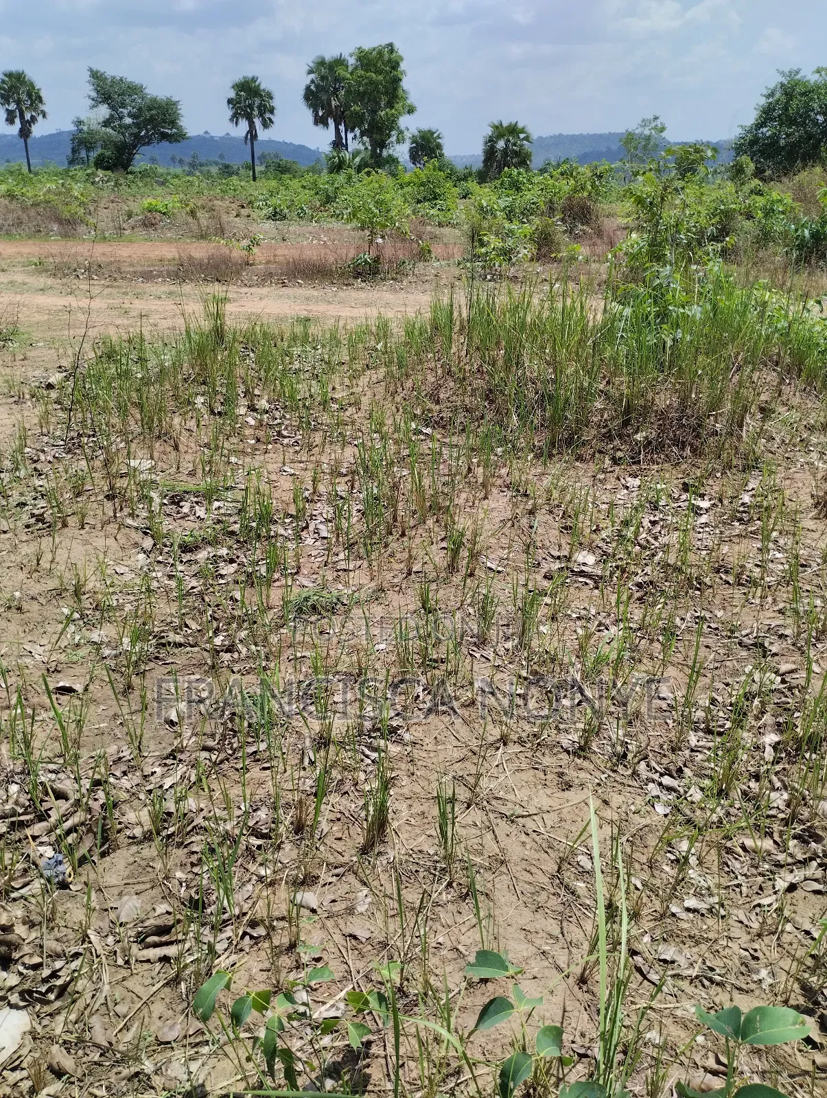 Genuine Plots Of Land For Sale in Oyi