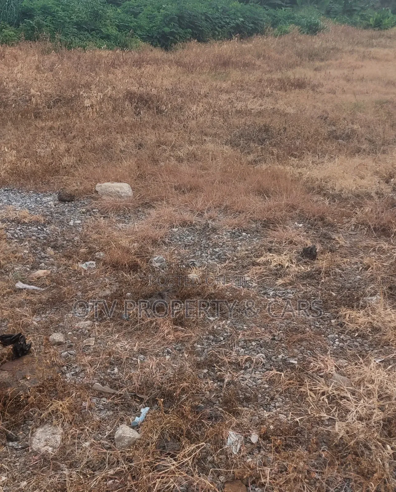 Prime Commercial 10,000 SQM Land Directly on Chevron Drive in Lekki
