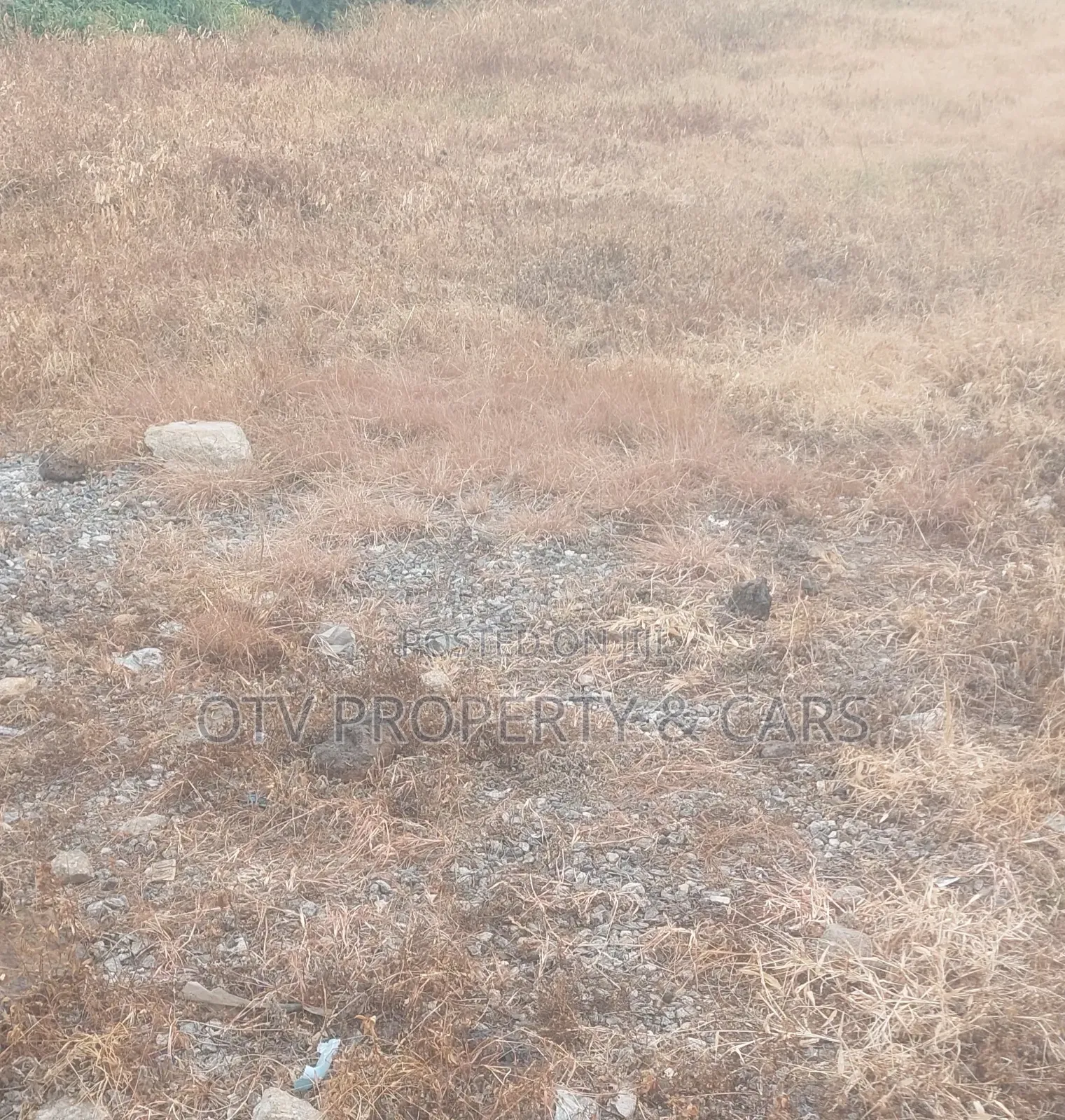 Prime Commercial 10,000 SQM Land Directly on Chevron Drive in Lekki