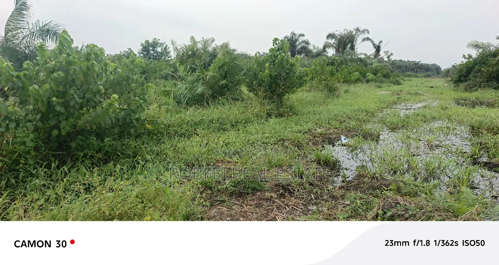 Real Estate Investment Opportunity in Aiyeteju