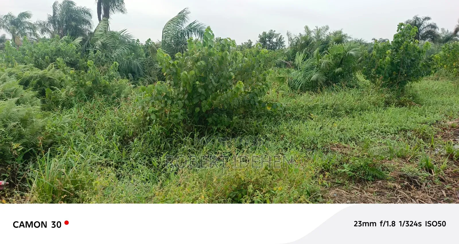 Lucrative Real Estate Investment Opportunity in Aiyeteju