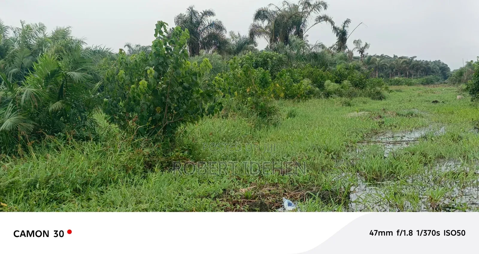 Lucrative Real Estate Investment Opportunity in Aiyeteju