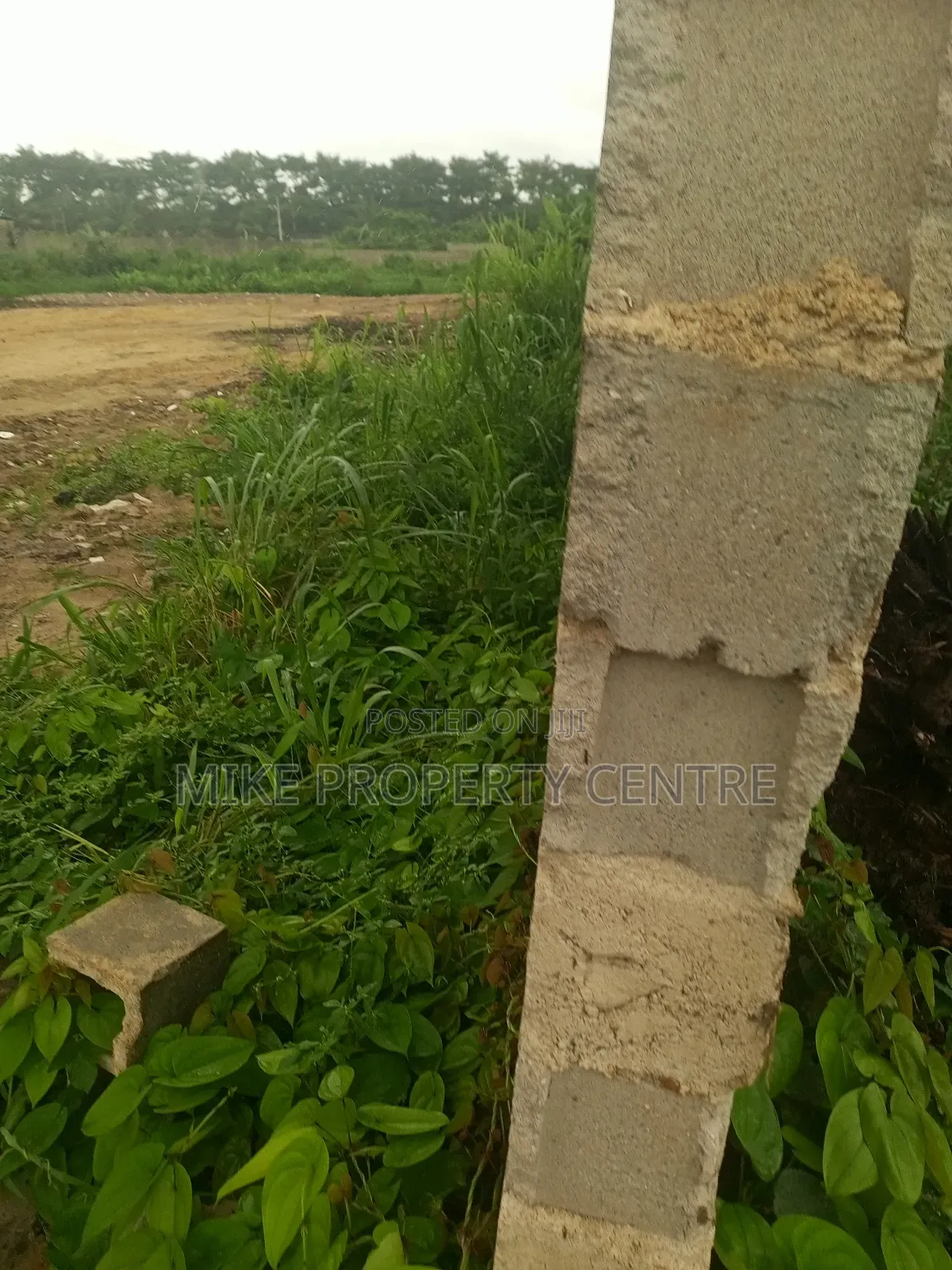 Four and Half Plots of Land in Ago Palace
