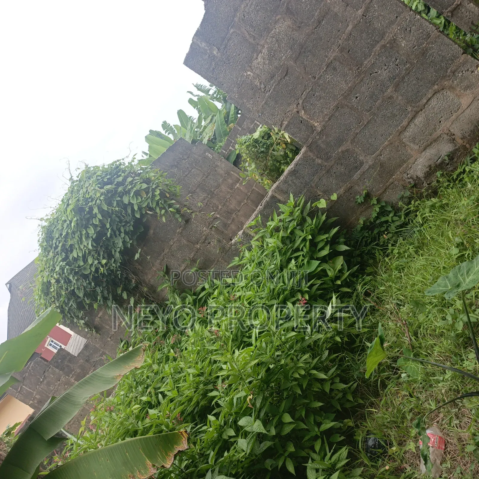 Family Deed Ay in Igbogbo