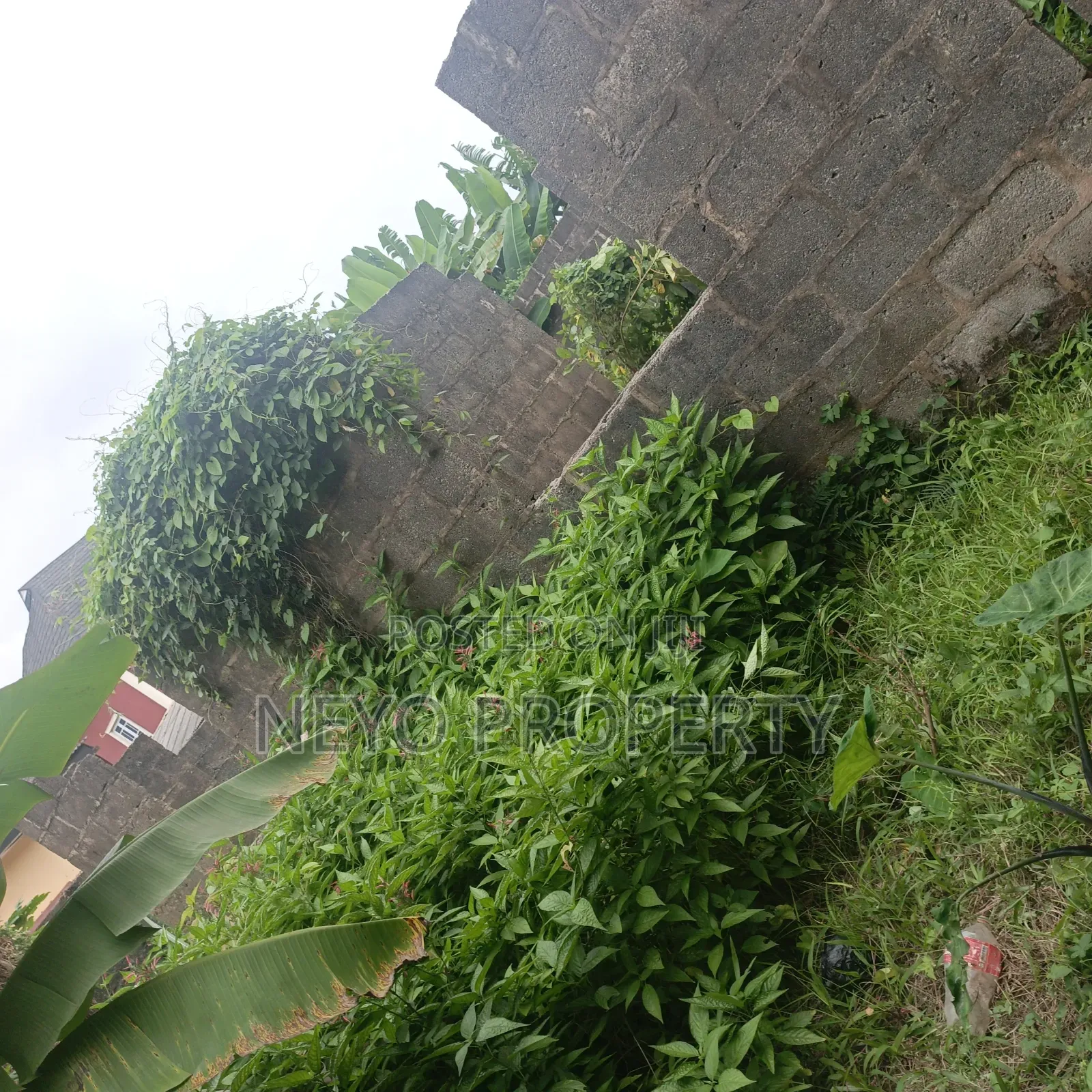 Family Deed Ay in Igbogbo