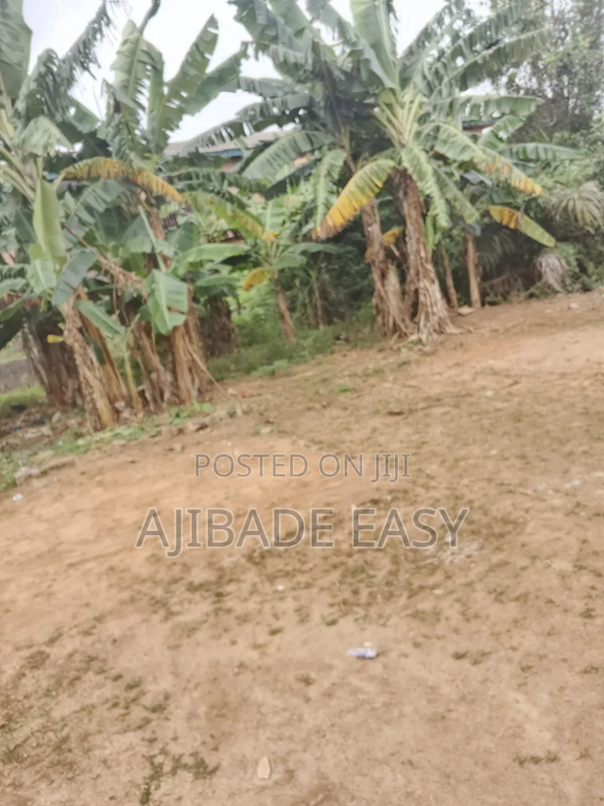 Almost Full Plot Land in Ayobo for Sale in Ayobo
