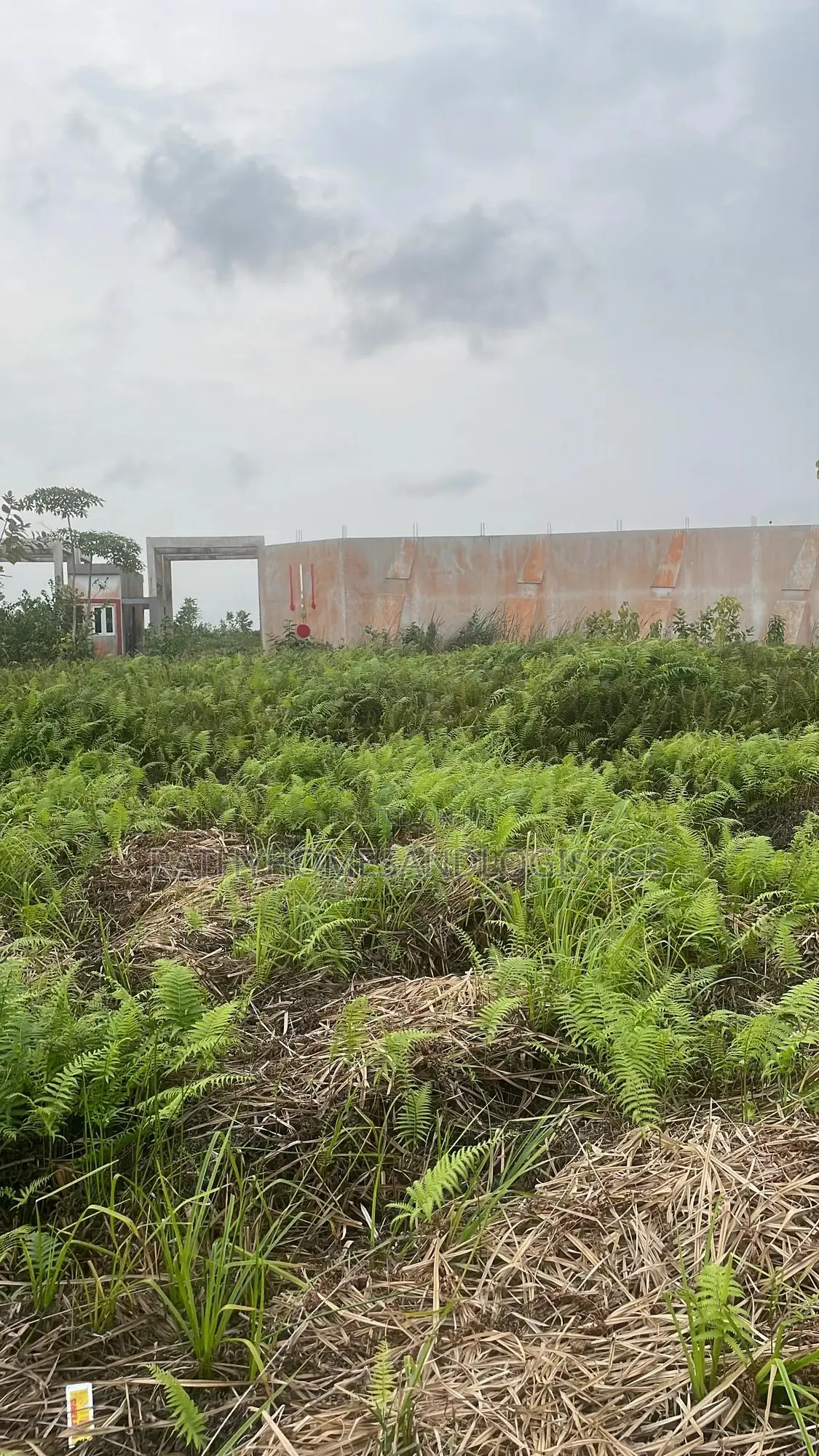 Prime Land for Sale – Own Your Space, Own Your Future! in Ibeju