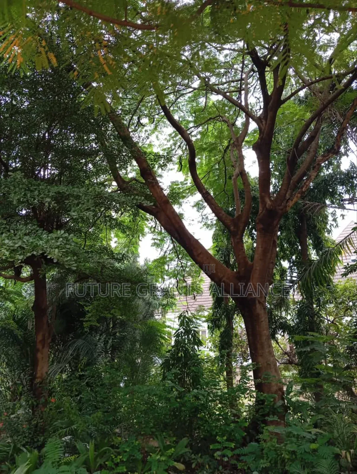Farm Land at Joga Orile in Abeokuta South