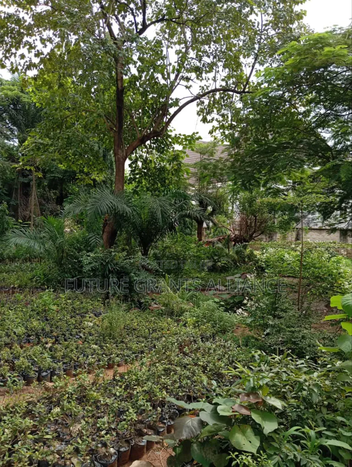 Farm Land at Joga Orile in Abeokuta South