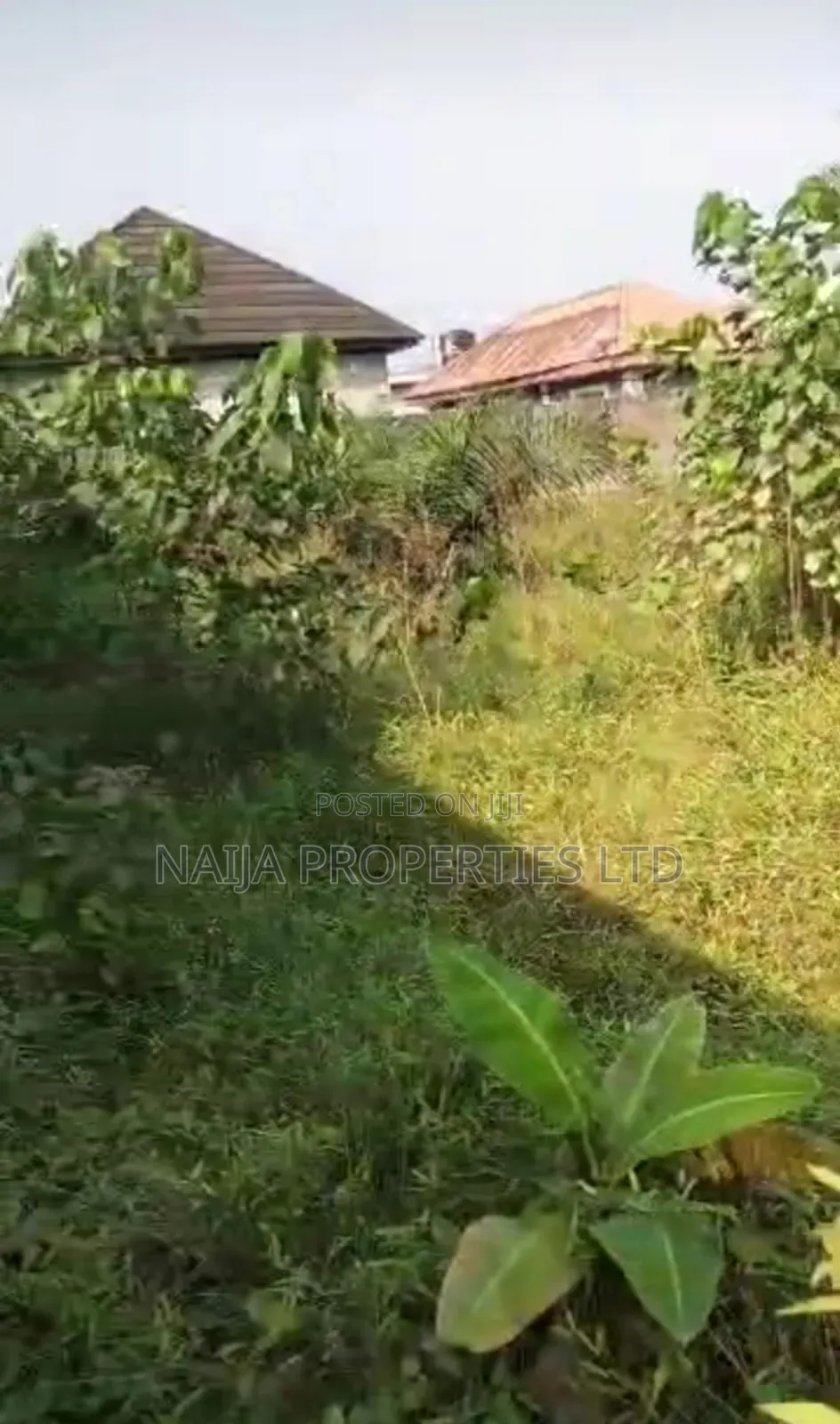 Full Plot of Land at Baba Adisa, Ibeju-Lekki for Sale in Ibeju