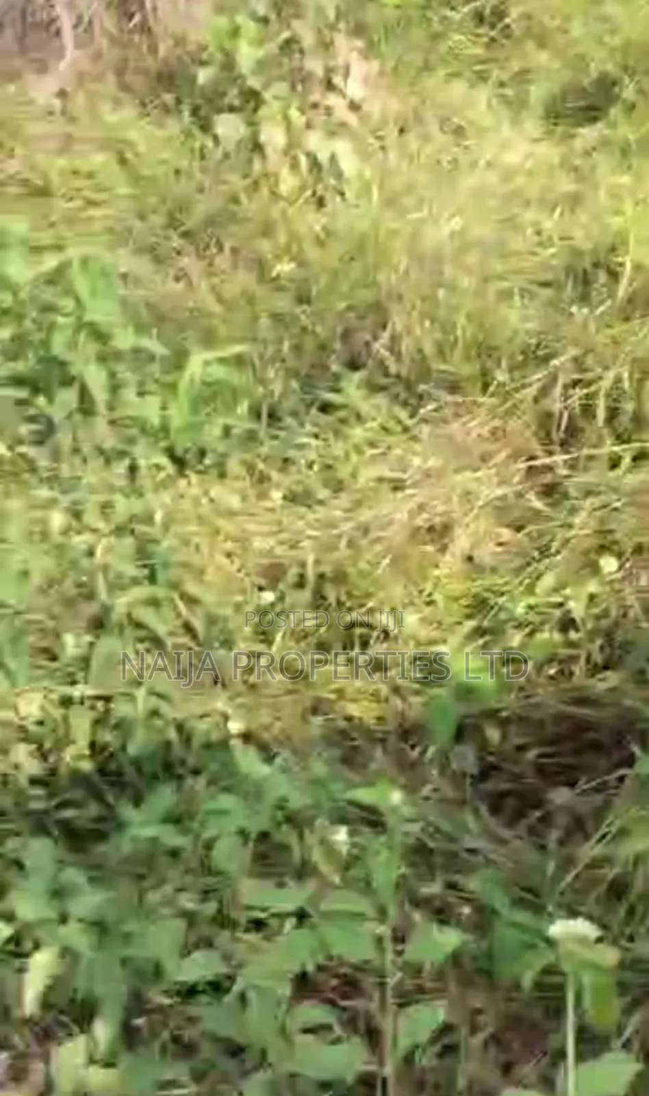Full Plot of Land at Baba Adisa, Ibeju-Lekki for Sale in Ibeju
