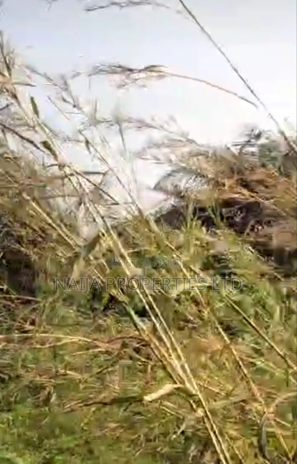 Full Plot of Land at Baba Adisa, Ibeju-Lekki for Sale in Ibeju