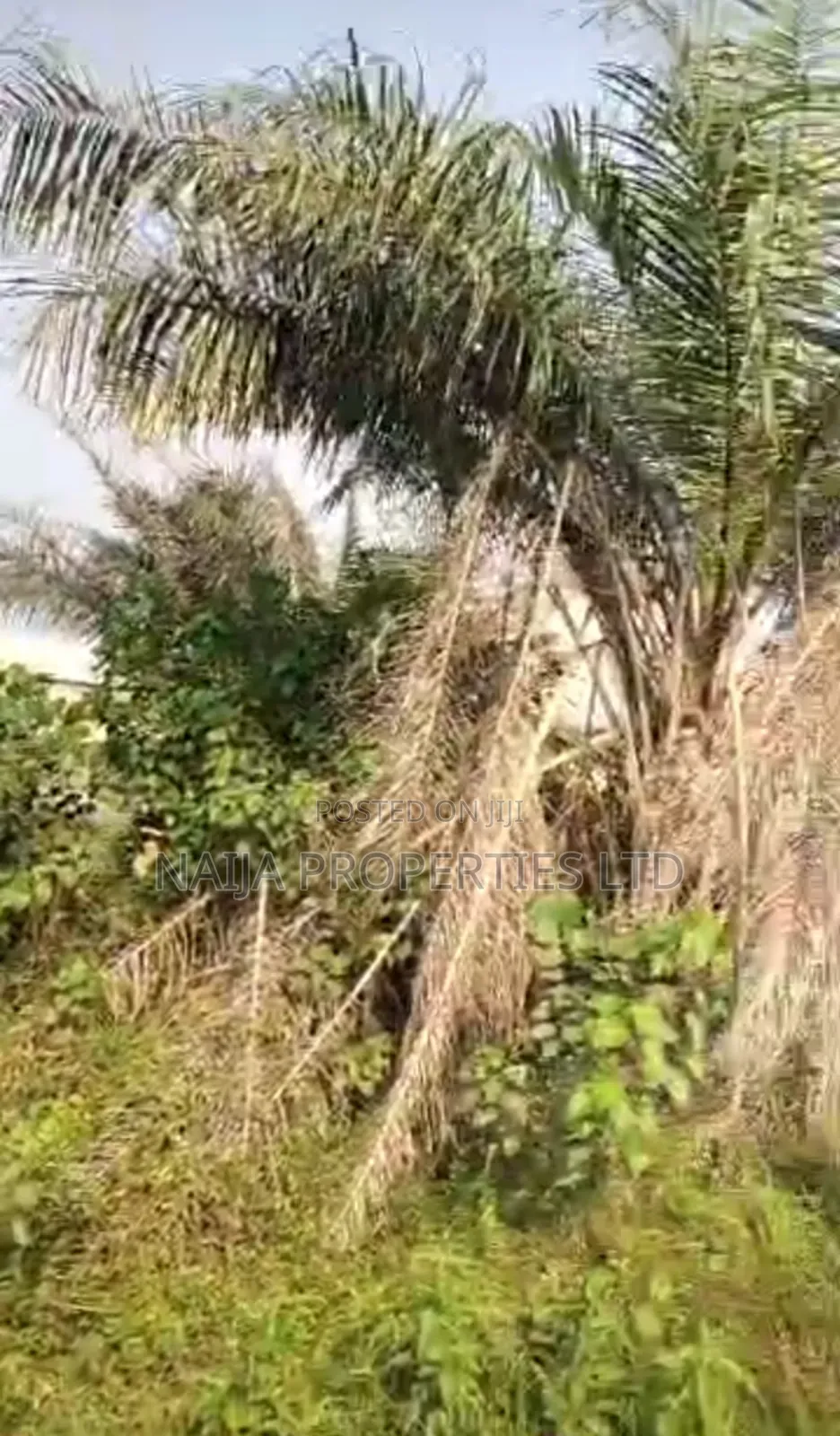 Full Plot of Land at Baba Adisa, Ibeju-Lekki for Sale in Ibeju