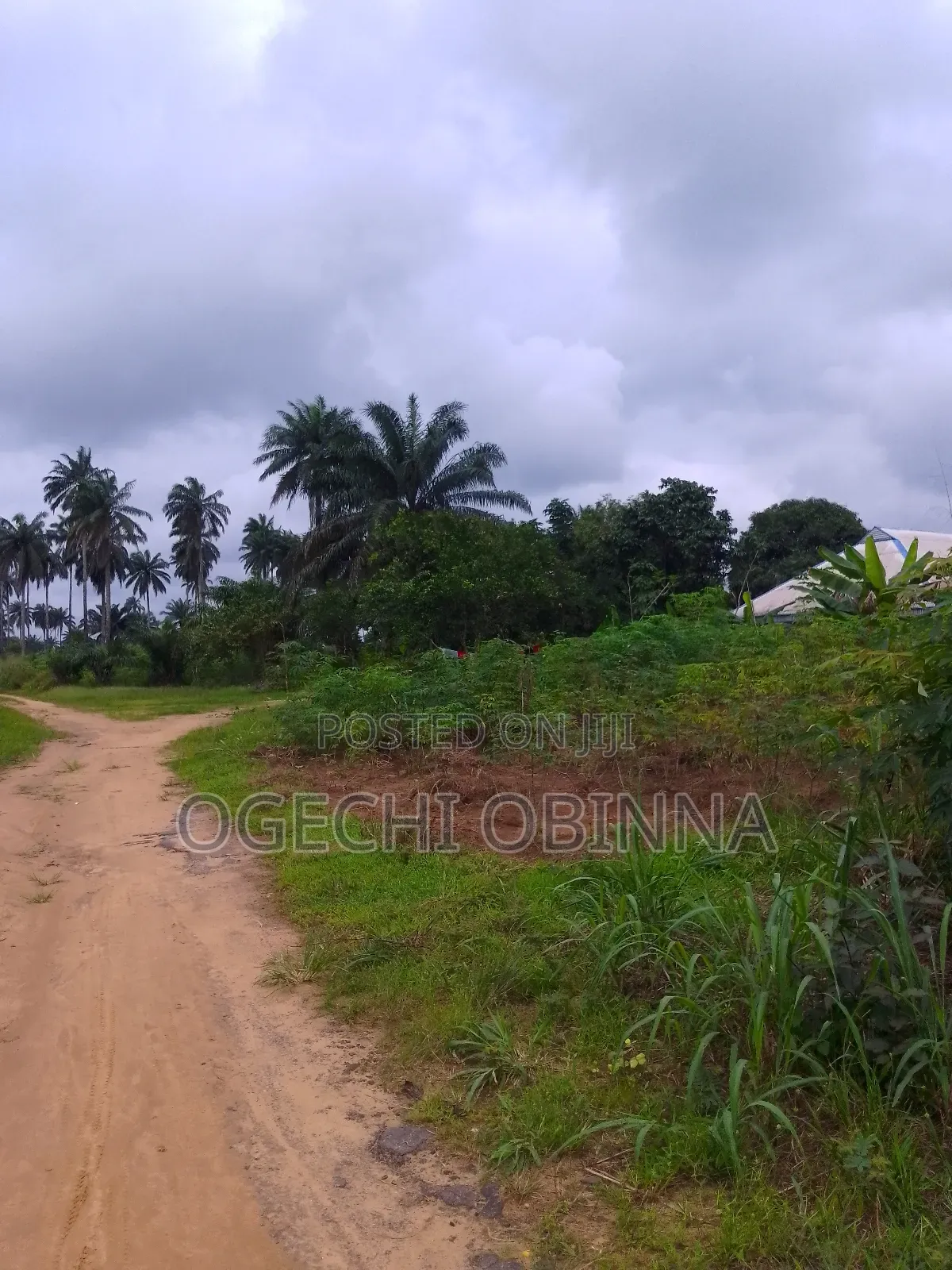 Distress Buy Build Genuine 20 Plots 4 Sale at Abara Etche in Port-Harcourt