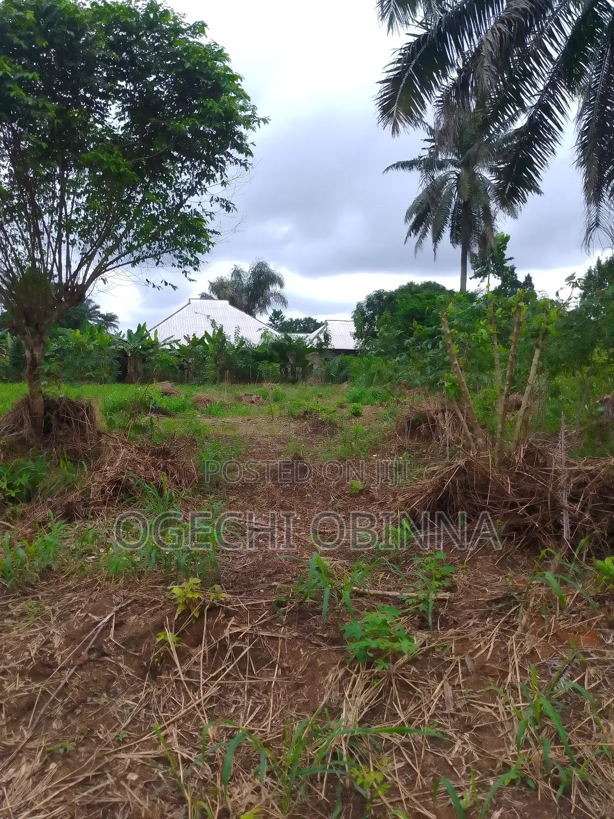 Distress Buy Build Genuine 20 Plots 4 Sale at Abara Etche in Port-Harcourt