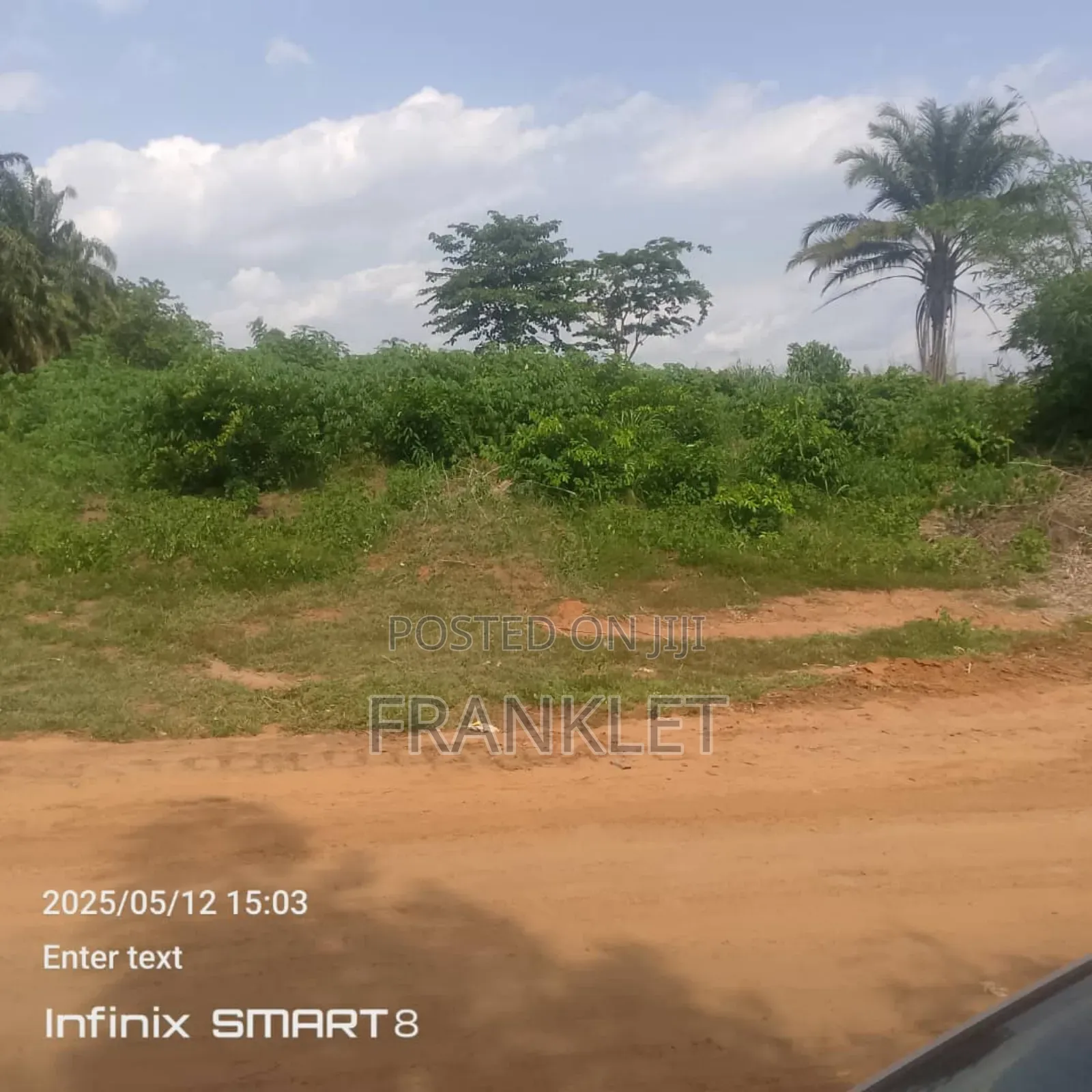 Virgin Land at Asaba in Oshimili South