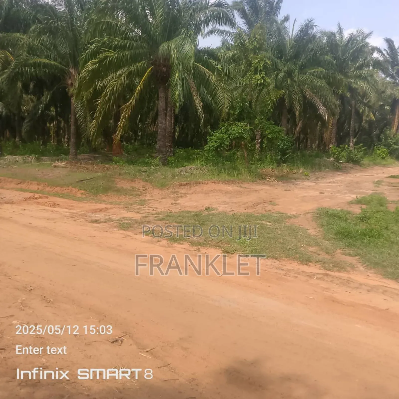 Virgin Land at Asaba in Oshimili South