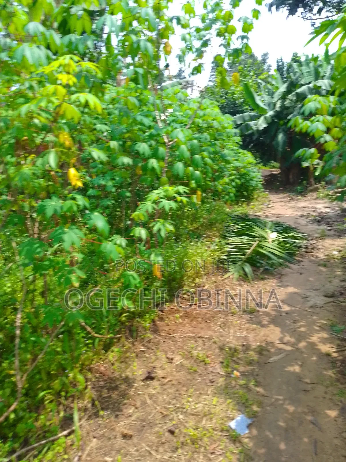 Buy and Build Land at Egwi Etche in Port-Harcourt