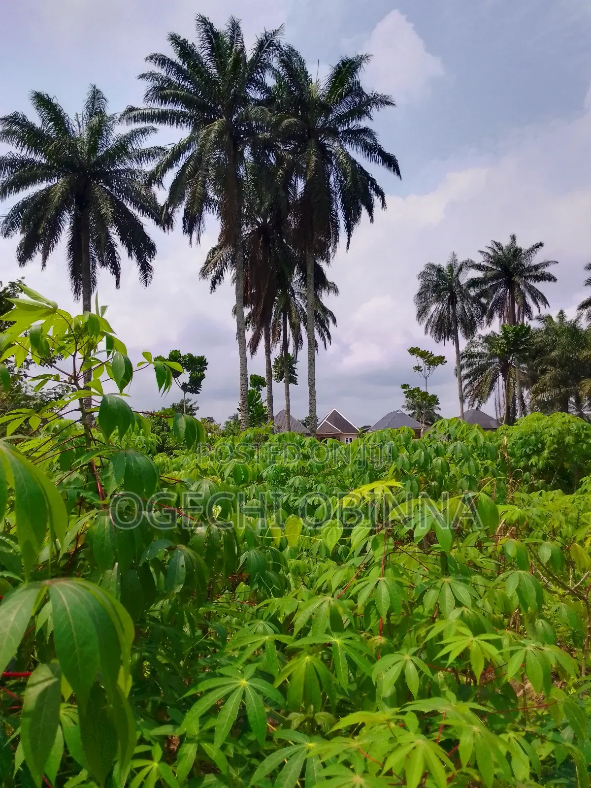 Buy and Build Land at Egwi Etche in Port-Harcourt