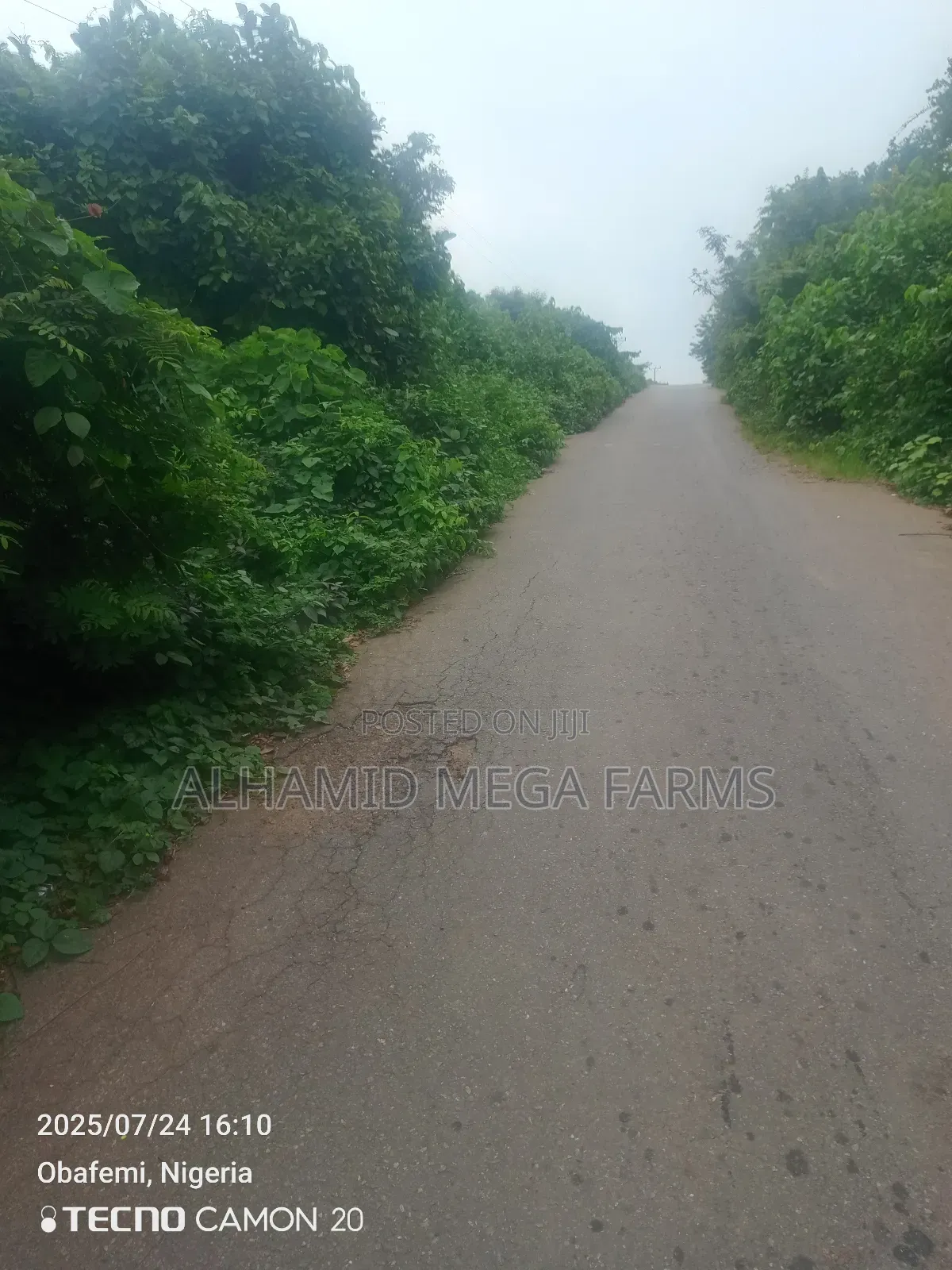 2000 Acres of Farmland for Sale at 300,000 Per Acre in Itesiwaju