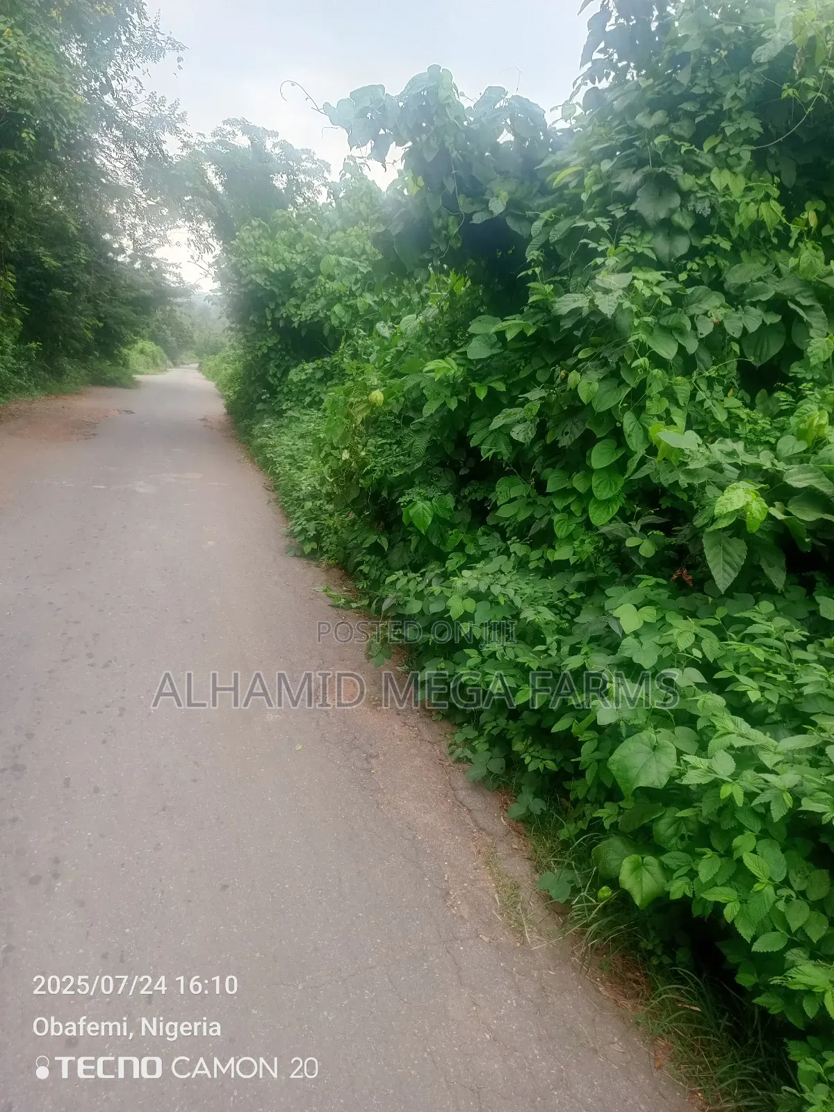 2000 Acres of Farmland for Sale at 300,000 Per Acre in Itesiwaju