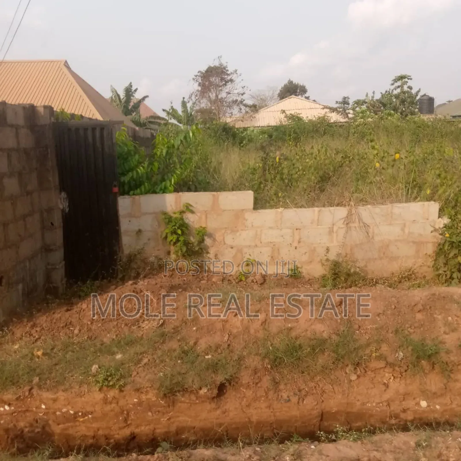 Half Plot Dry Land Lanre Bustop Isheri Iguando Rd in Igando / Ikotun/Igando