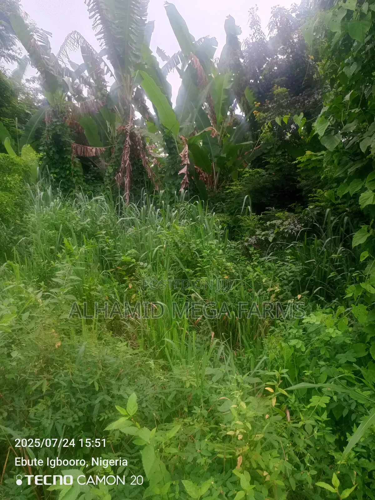725 Acres of Farmland for Sale With Coo in Iseyin
