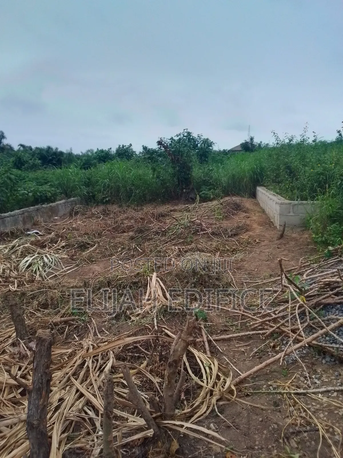 Secured Half Plot(25x100) at Parkview, Ikorodu in Ijede / Ikorodu