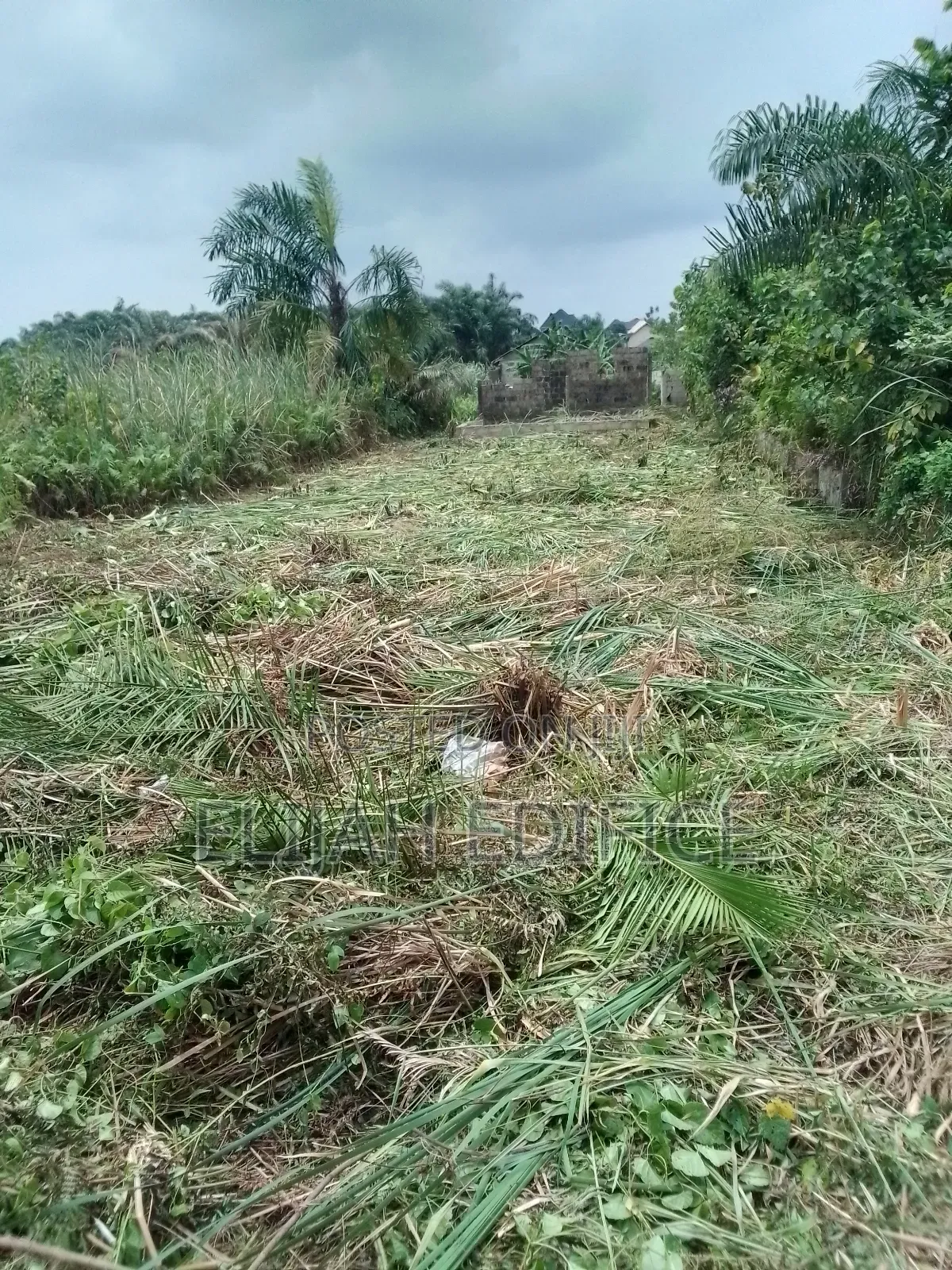 Secured Half Plot(25x100) at Parkview, Ikorodu in Ijede / Ikorodu