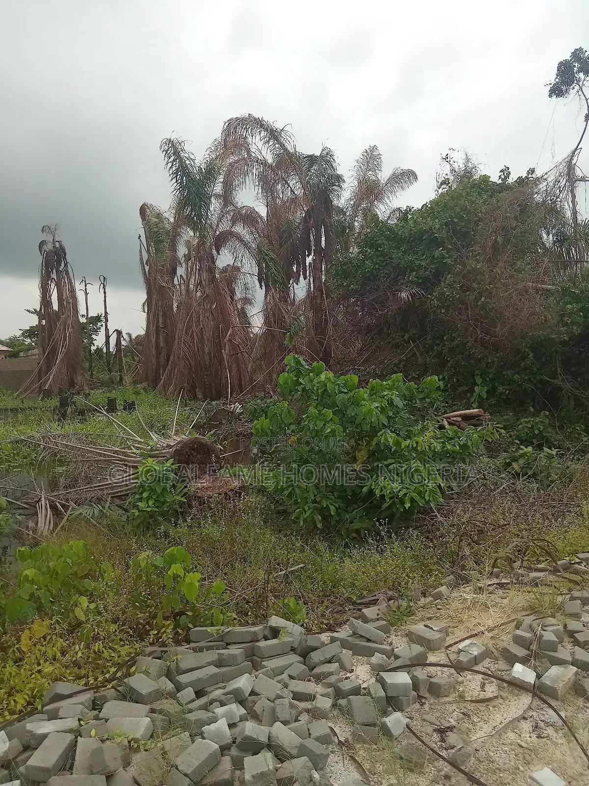 Land for Sale in Sangotedo