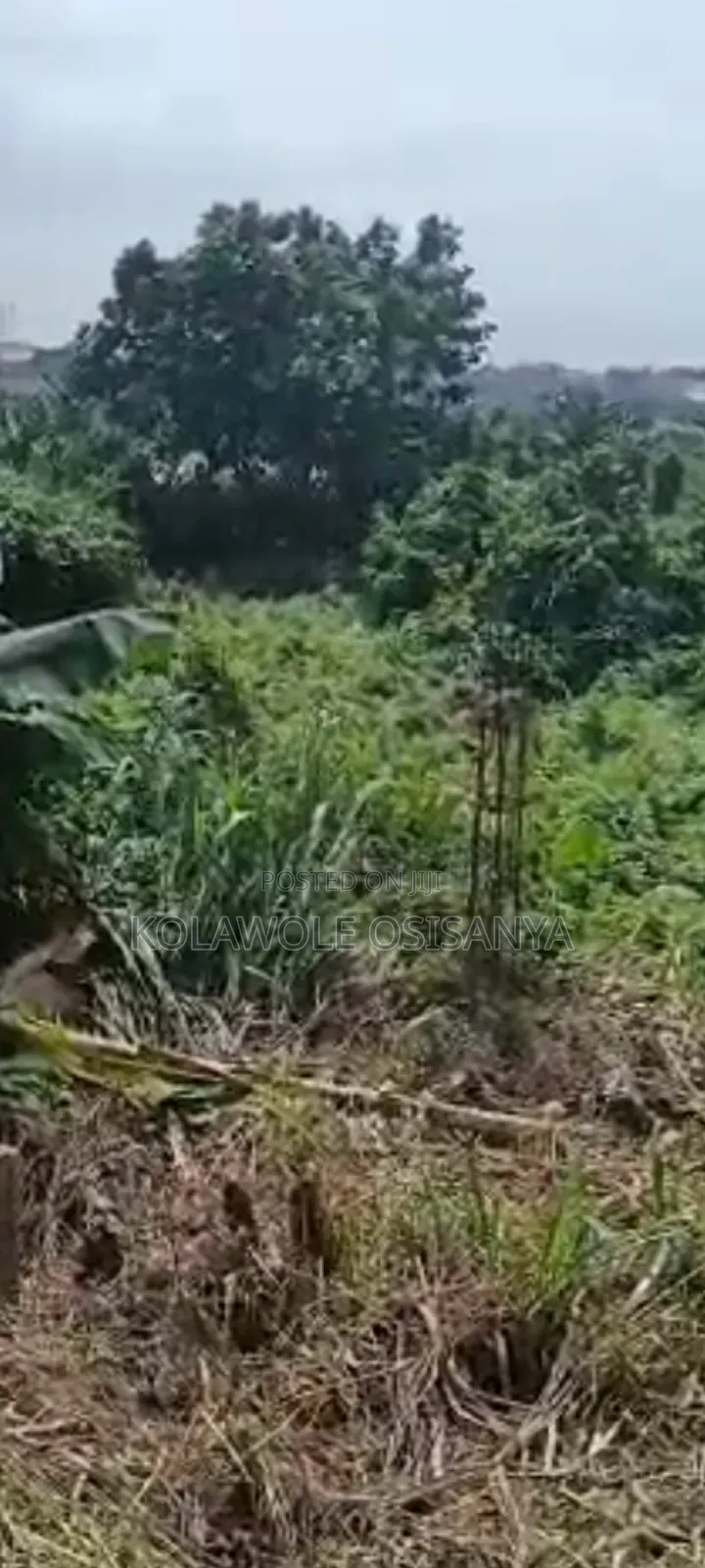 Commercial 8and Half Acres Along Lagos Badagry Express in Ojo
