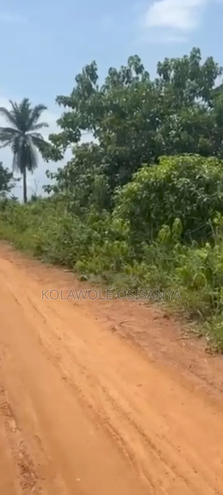 Virgin 2acres Of Mixed Use Land At Ibogun Off Iyana Coker in Ifo