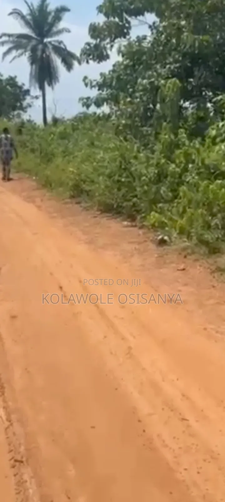 Virgin 2acres Of Mixed Use Land At Ibogun Off Iyana Coker in Ifo