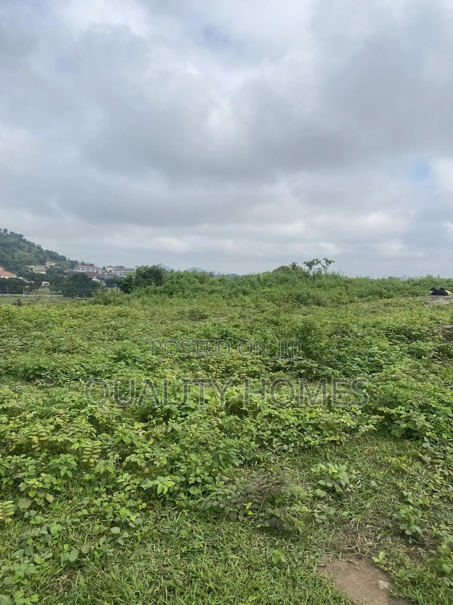 Certificate of Occupancy in Zone 4 / Wuse
