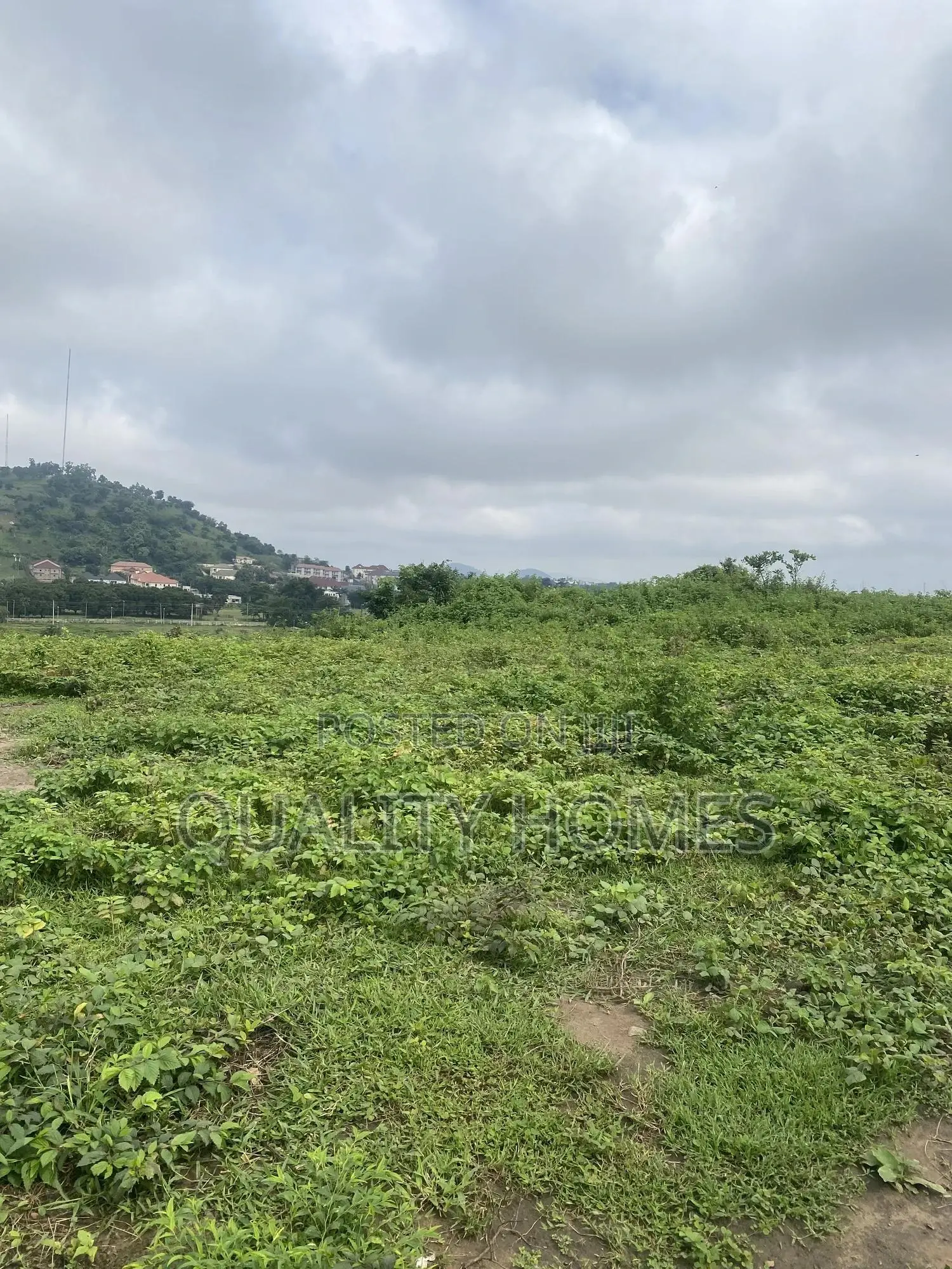 Certificate of Occupancy in Idu Industrial