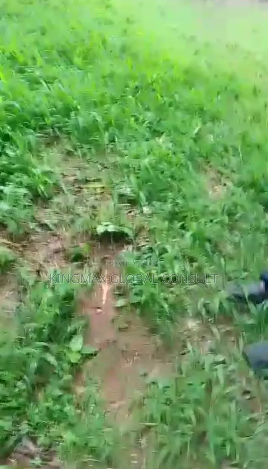 Land Is for Sale at Apo Resettlement SQM 7755 in Apo Resettlement