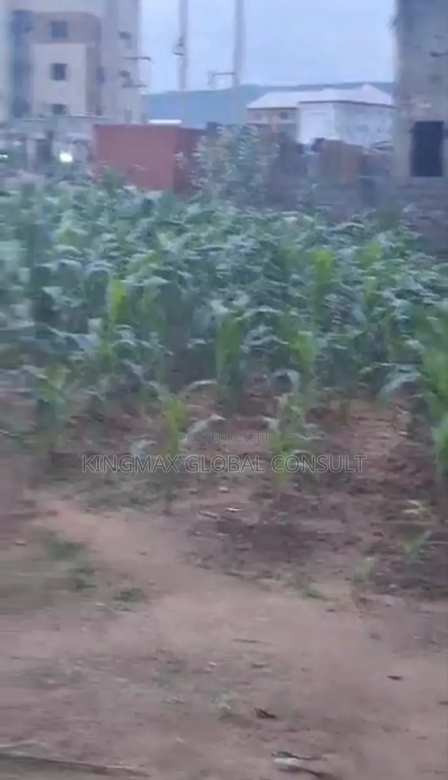 Jahi Sweet Residential Plot for Urgent Sales* in Jahi