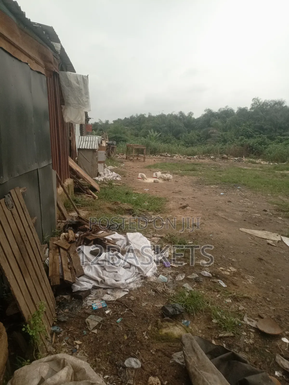 Acres of Land at Owode, Obafemi, Ogun State in Obafemi-Owode